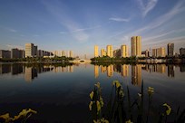 生态优美的穿紫河