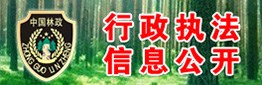 行政执法信息公开