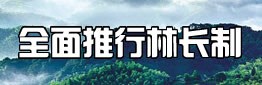 全面推行林长制