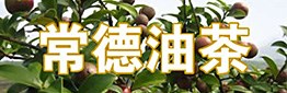 油茶产业发展