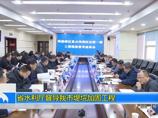 省水利厅督导我市堤垸加固工程